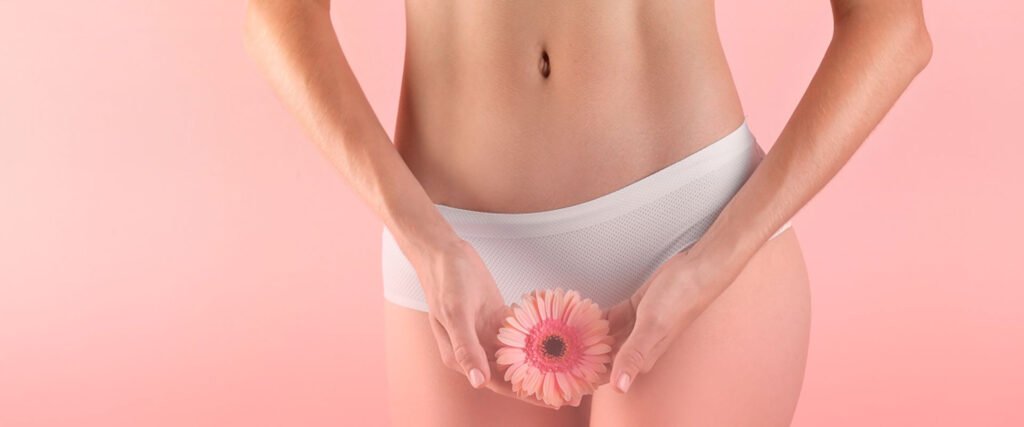 Ginecologia estetica